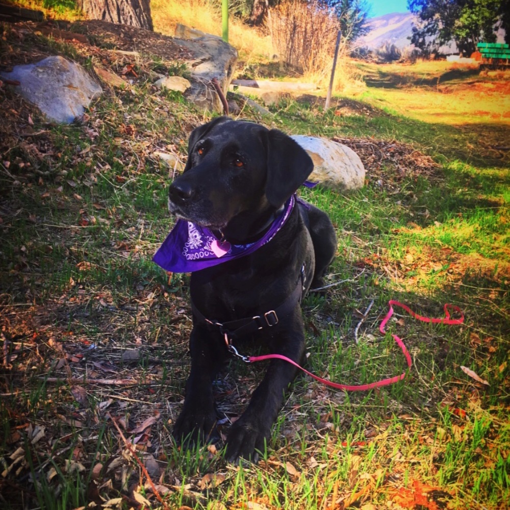 Meet your Posher, Erika